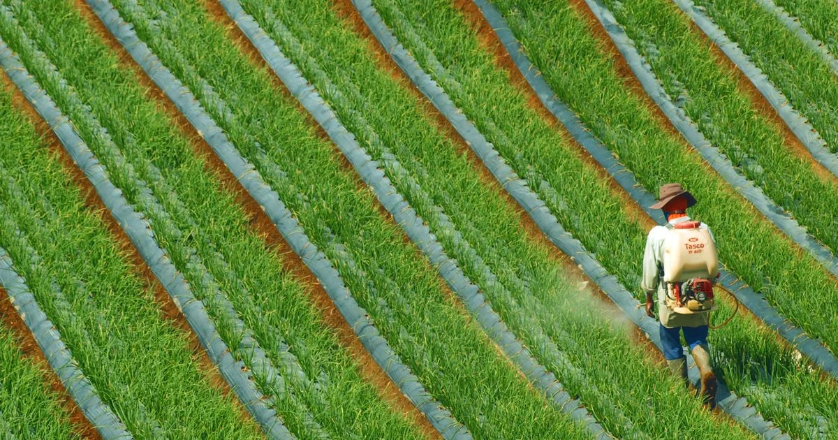 Cara Membangun Jiwa Wirausaha Mahasiswa Pertanian untuk Masa Depan Agribisnis