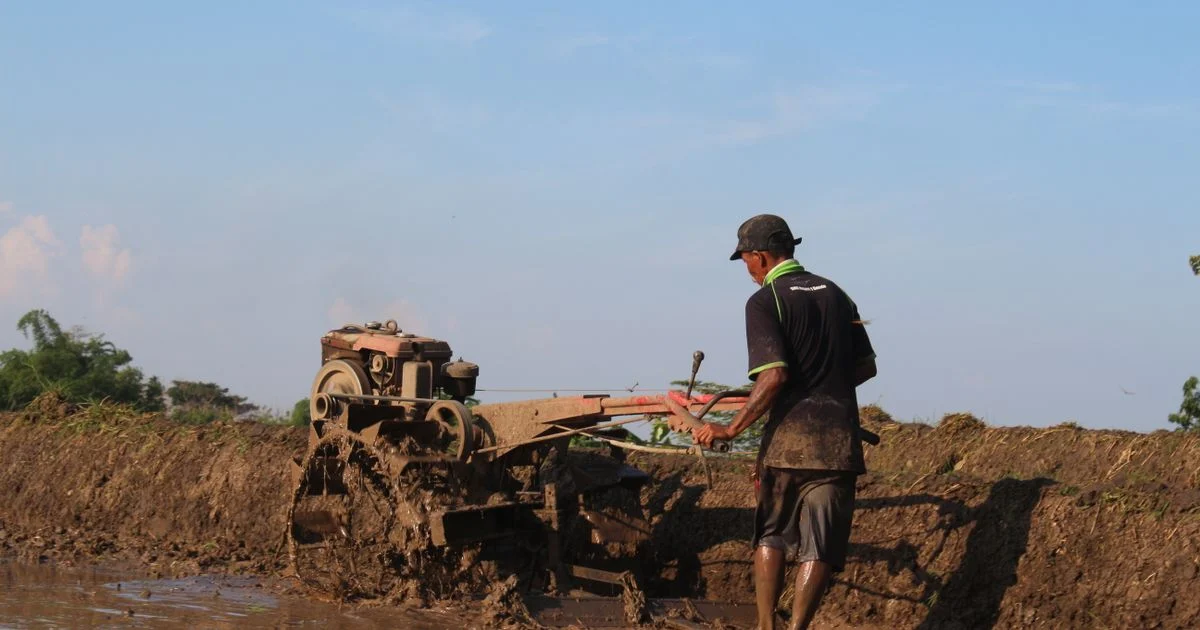 Keterampilan yang Dicari Perusahaan Agribisnis untuk Karier Masa Depan