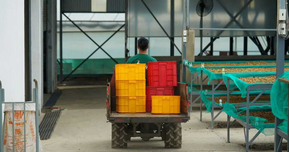 Cara Memahami Rantai Pasok Produk Pertanian untuk Petani Modern
