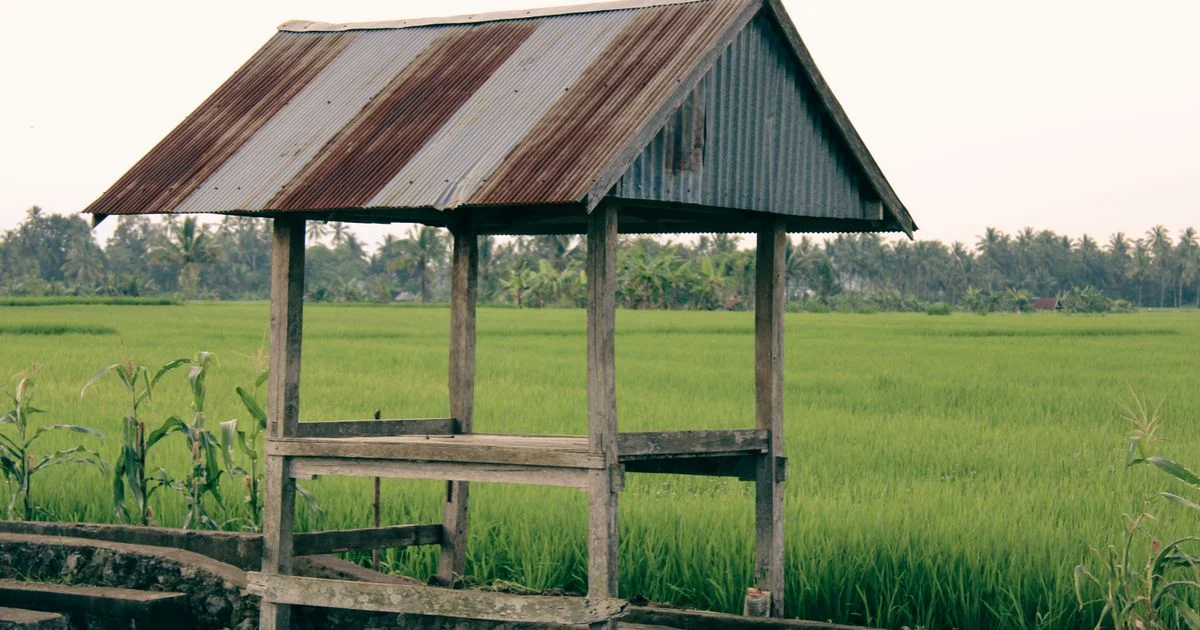 Panduan Praktis Cara Memperbaiki Struktur Tanah Pertanian untuk Petani