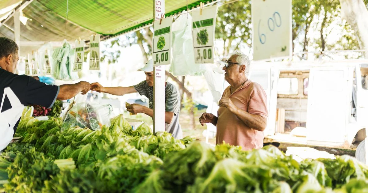 Panduan Praktis Cara Menentukan Harga Jual Hasil Pertanian bagi Petani