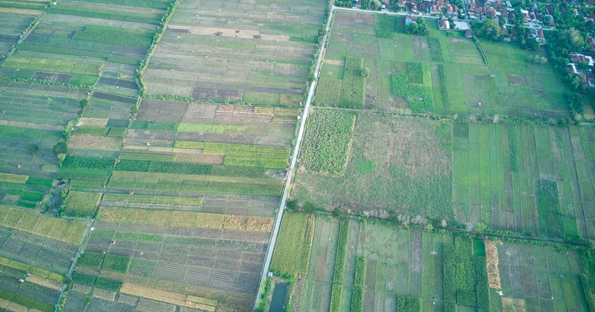 Panduan Praktis Cara Mengenali Jenis Tanah untuk Pertanian