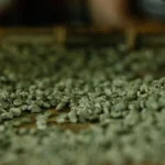Panduan Praktis Cara Menjaga Kualitas Hasil Panen bagi Petani