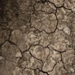 Cara Menjaga Kelembapan Tanah Saat Musim Kemarau untuk Petani