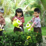 Panduan Lengkap Cara Memahami Unsur Hara Tanaman bagi Petani