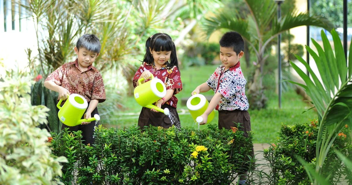 Panduan Lengkap Cara Memahami Unsur Hara Tanaman bagi Petani
