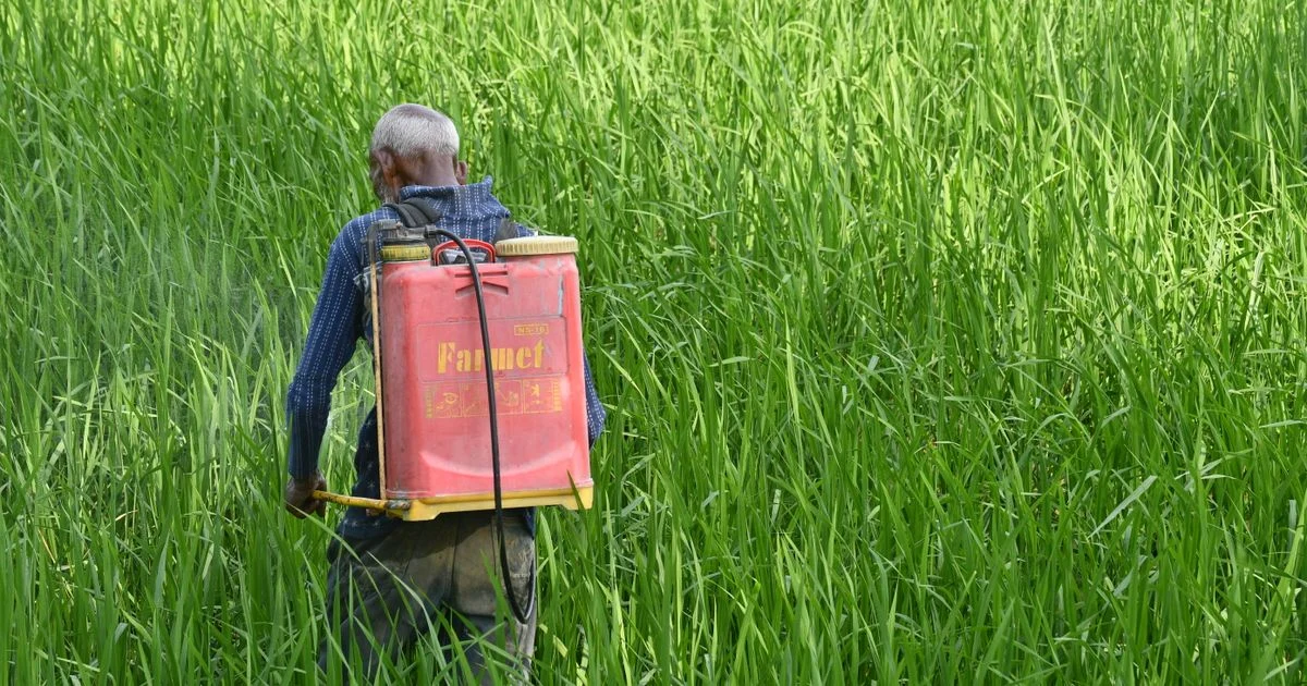 Panduan Praktis Cara Menggunakan Pestisida dengan Aman bagi Petani
